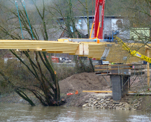 spezielle artenschutzrechtliche Prüfung (saP) Neckartenzlingen Radwegebrücke