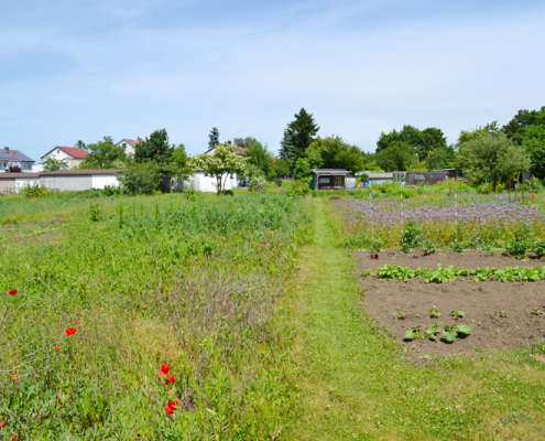 Umweltbericht Crailsheim Sauerbrunnensiedlung