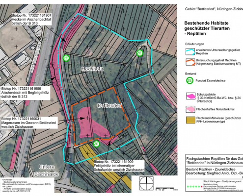 zoologisches Gutachten NT Bettlesried Bestand