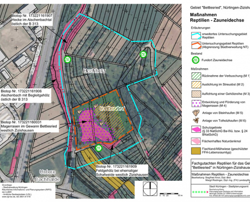 zoologisches Gutachten NT Bettlesried Planungsmaßnahmen