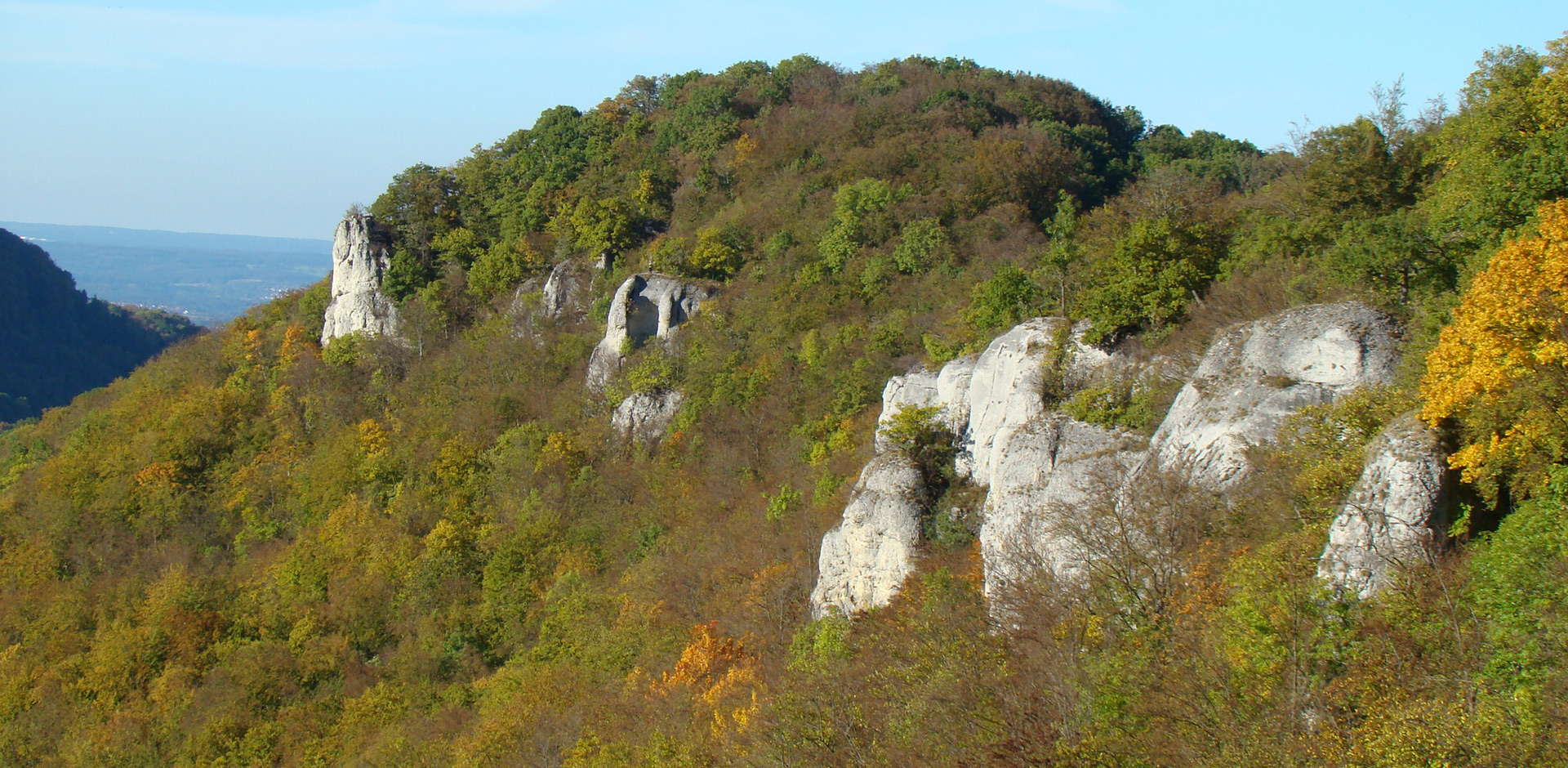 Planungsgruppe Ökologie und Information