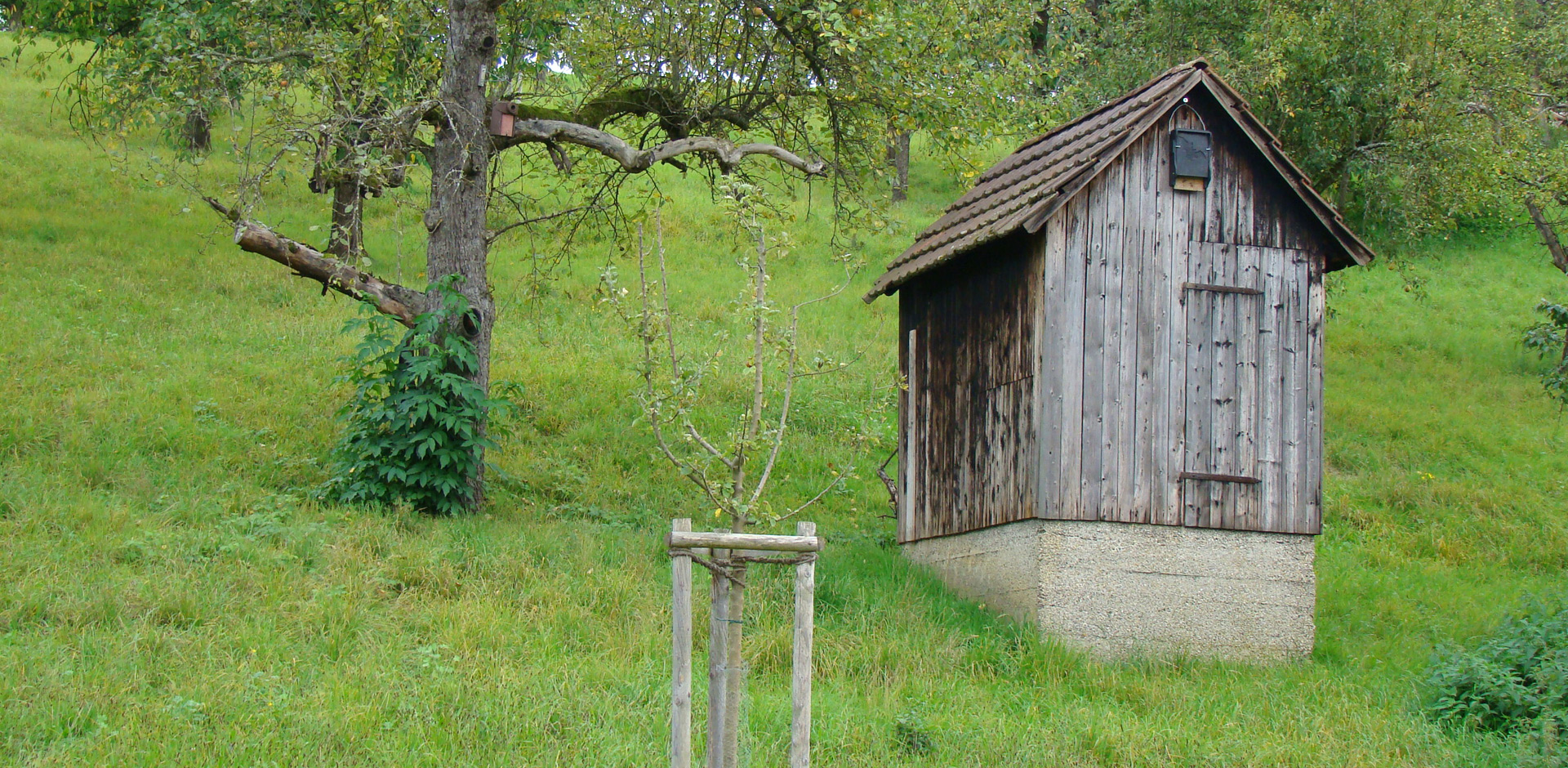 Planungsgruppe Ökologie und Information