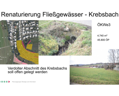 Ökokonto Ebersbach und Neckartenzlingen