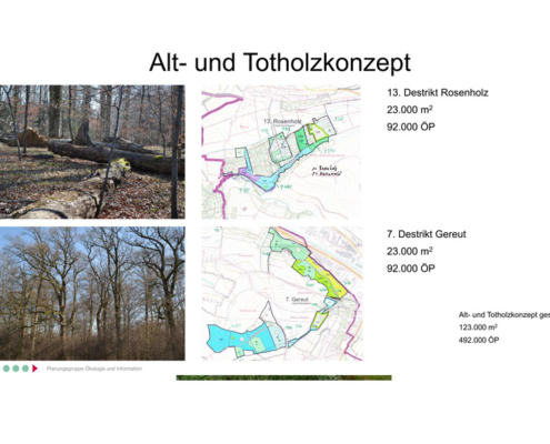 Ökokonto Ebersbach und Neckartenzlingen