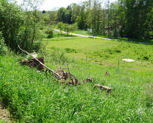 Regenüberlaufbecken an der Würm in Weil der Stadt